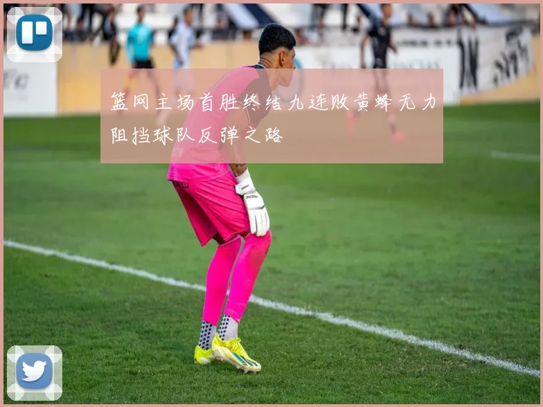 篮网主场首胜终结九连败黄蜂无力阻挡球队反弹之路