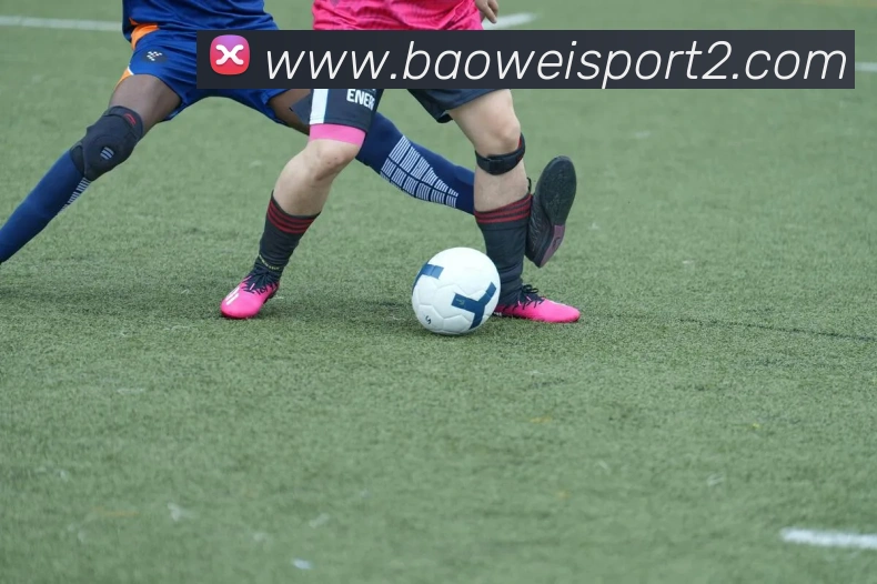 宝威体育平台生态图